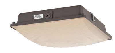 LED Canopy Light